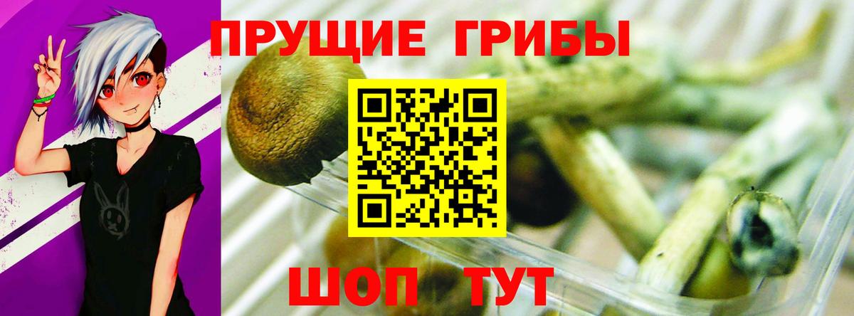 Набережные Челны  Псилоцибиновые грибы GOLDEN TEACHER  Вход с VPN 