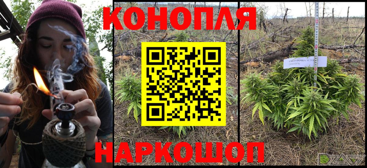Бошки Шишки планчик  Каннабис сатива  Набережные Челны  Бошки Шишки сатива  Вход с VPN  Бошки Шишки Ganja 
